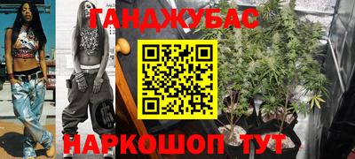 индика Обнинск