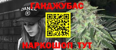 индика Обнинск