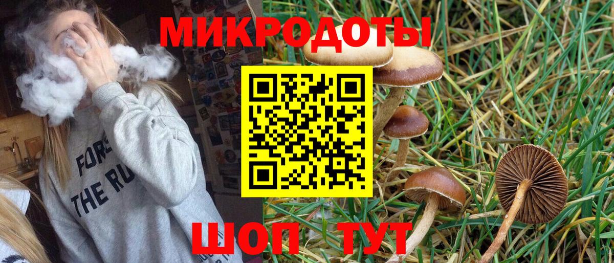 Галлюциногенные грибы Psilocybine cubensis  Вход с VPN  купить   Александров 